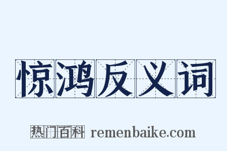 惊鸿反义词是什么意思的图片